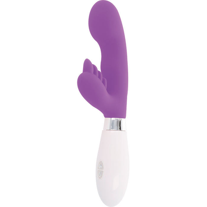 Rabbit Elvis Lila - Glossy - 4